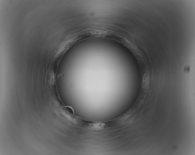 X0000111200474200907151418