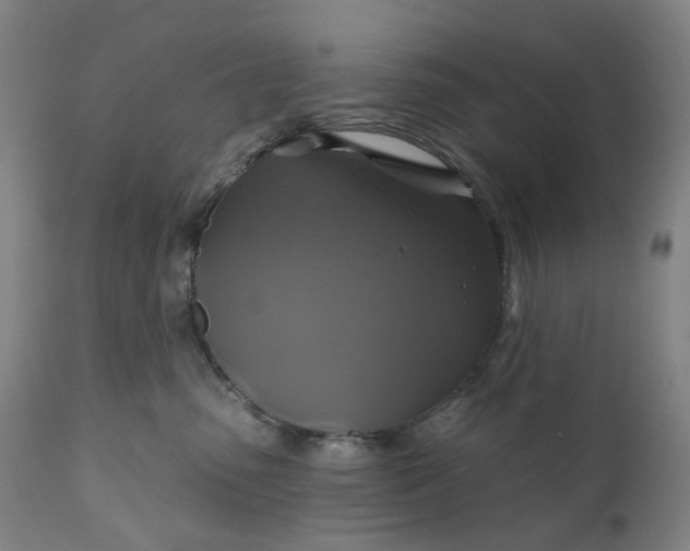 X0000111200475200907151418