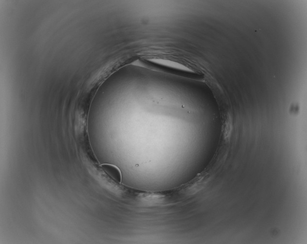 X0000111200476200907151418