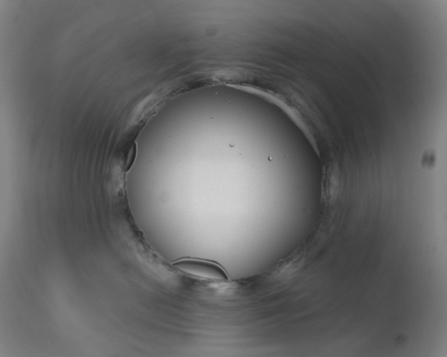 X0000111200478200907151418