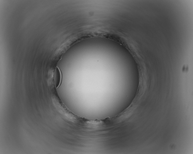 X0000111200480200907151418