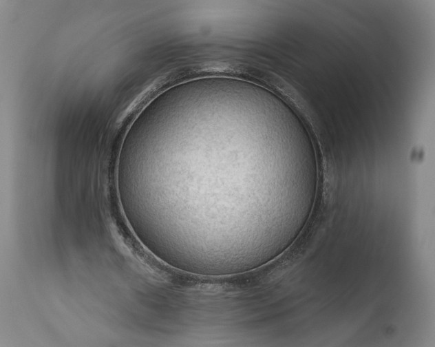 X0000111200482200907151417