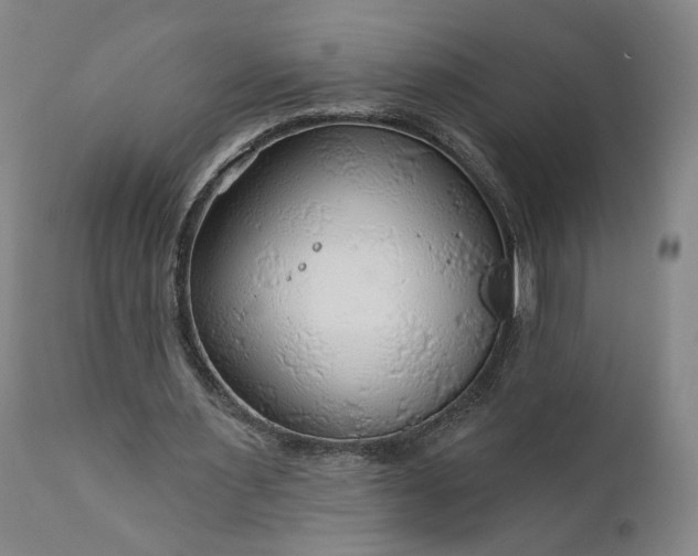 X0000111200483200907151417