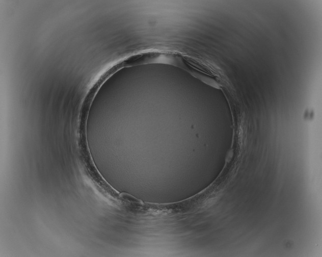 X0000111200484200907151417