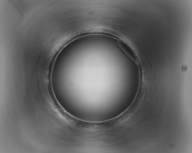 X0000111200485200907151417