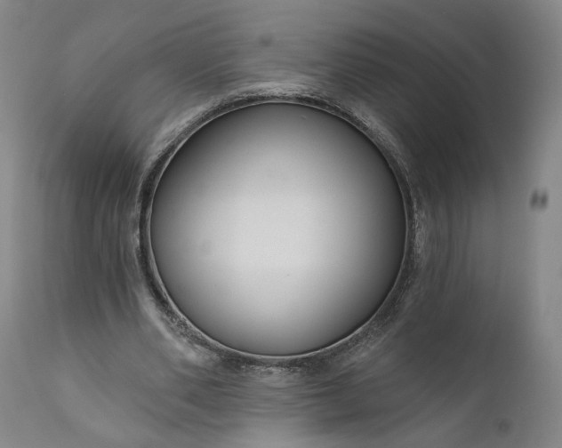 X0000111200486200907151417