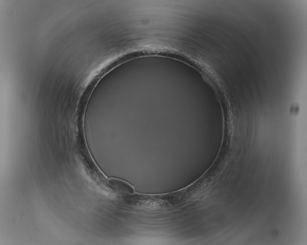 X0000111200488200907151417