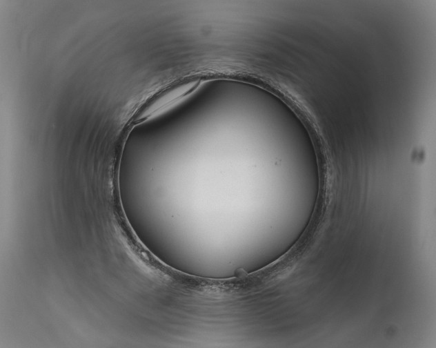 X0000111200489200907151417