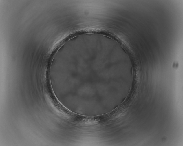 X0000111200491200907151417