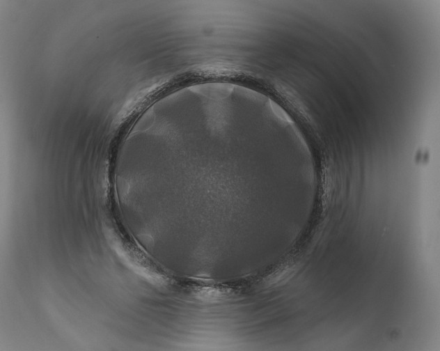 X0000111200494200907151417