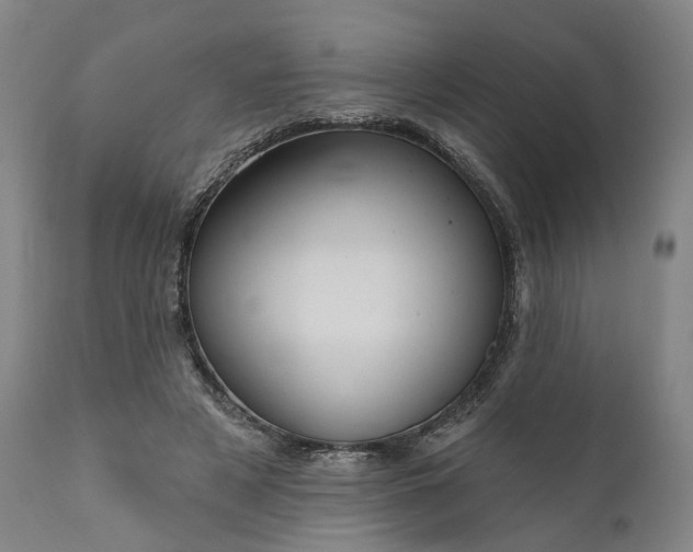 X0000111200497200907151417