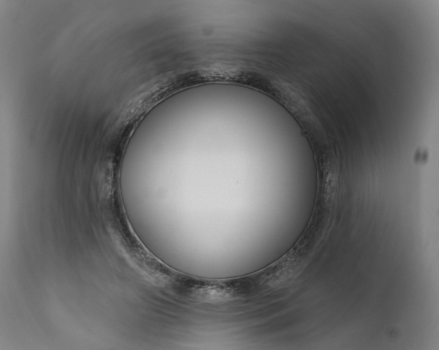 X0000111200498200907151417