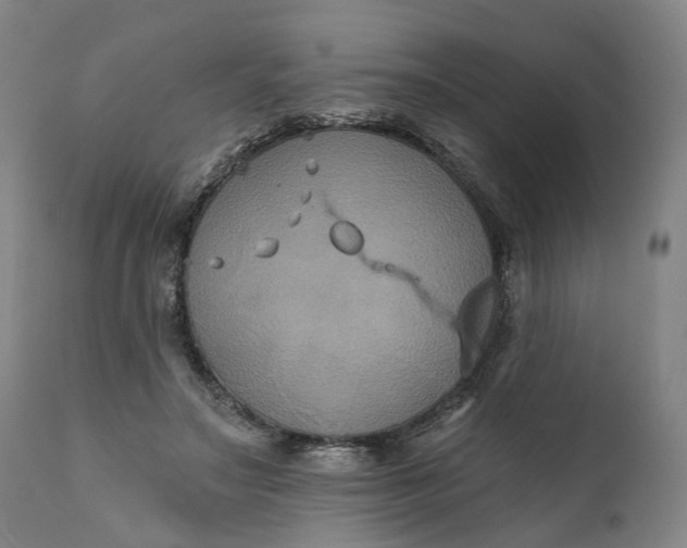 X0000111200499200907151417