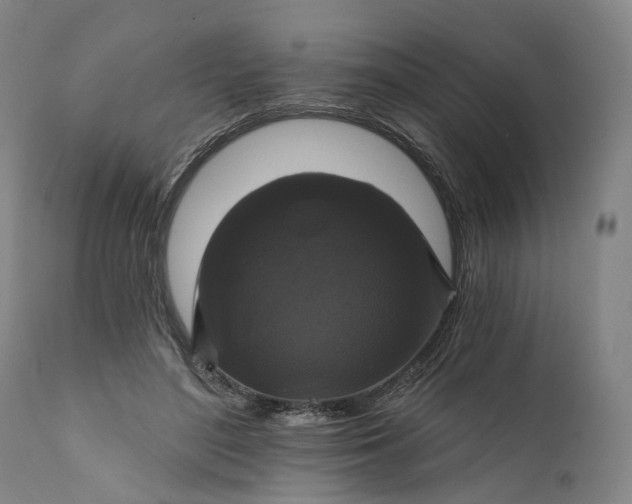 X0000111200500200907151417