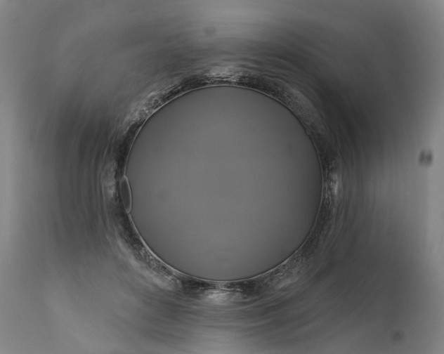 X0000111200504200907151417