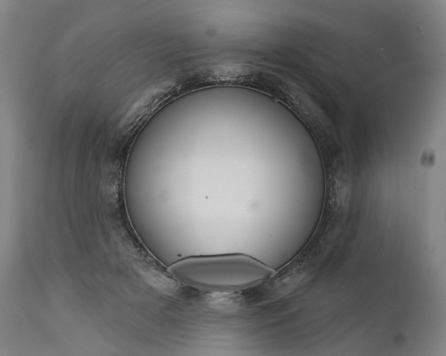 X0000111200505200907151417