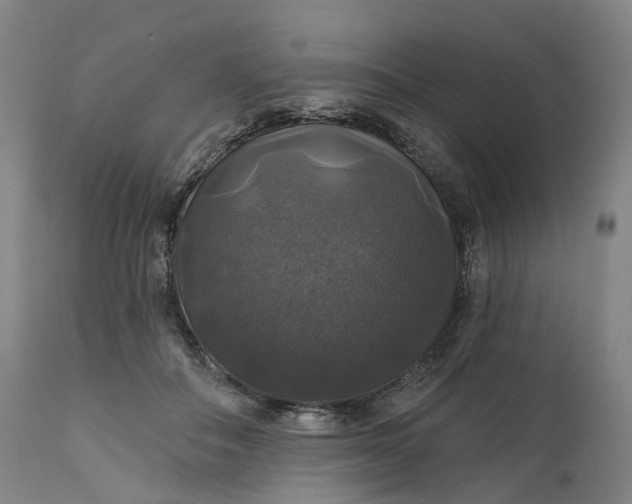 X0000111200506200907151417