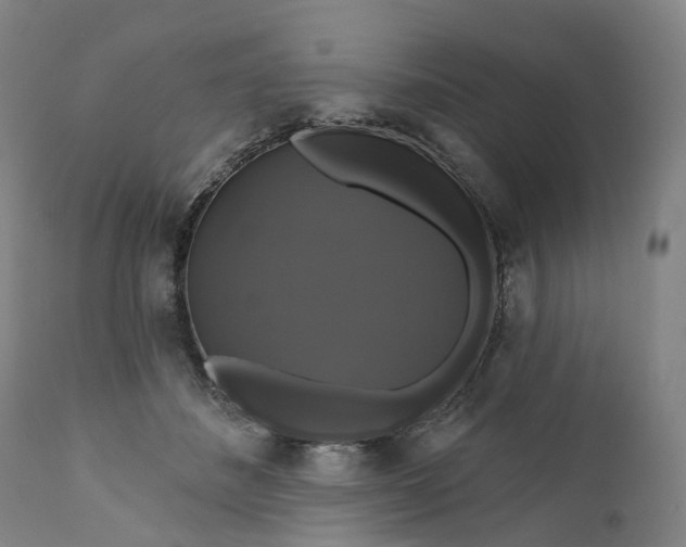 X0000111200508200907151417