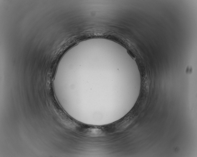 X0000111200509200907151417