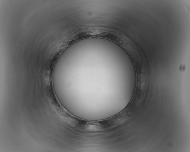 X0000111200510200907151417