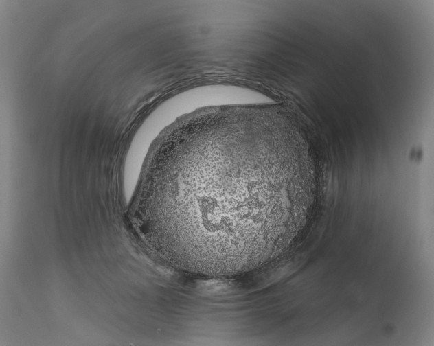 X0000111200511200907151417