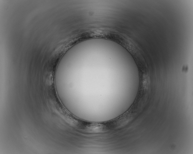 X0000111200514200907151417