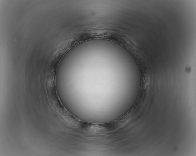 X0000111200515200907151417