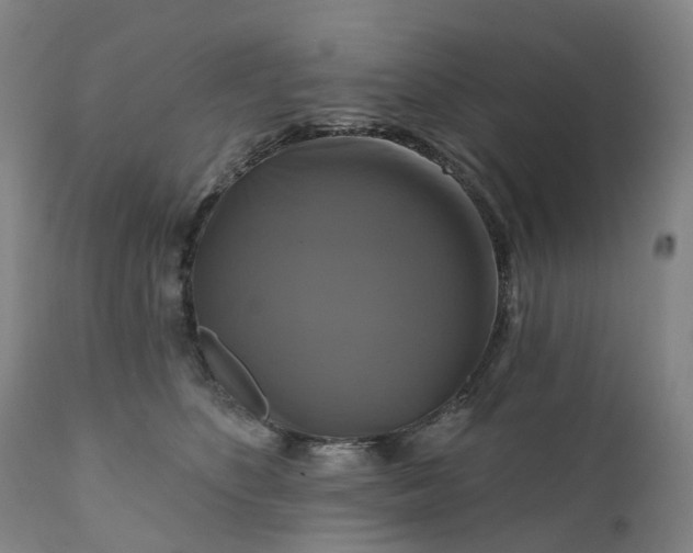 X0000111200516200907151417