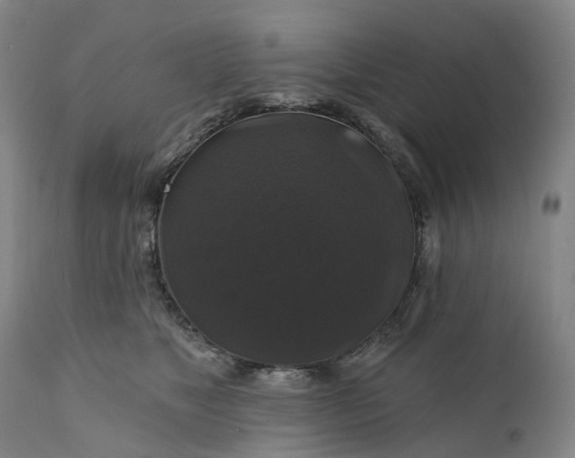 X0000111200517200907151417