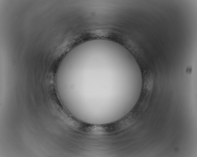 X0000111200518200907151417