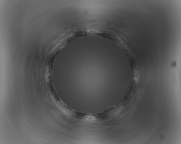 X0000111200519200907151417