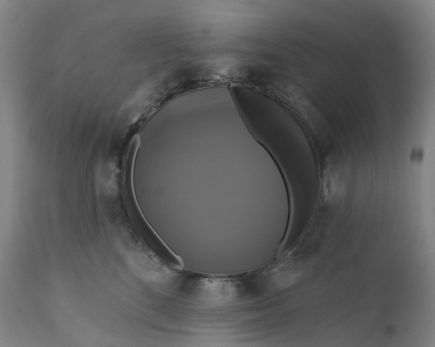 X0000111200520200907151417