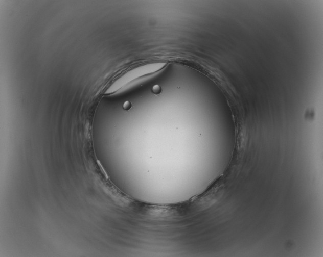 X0000111200521200907151417