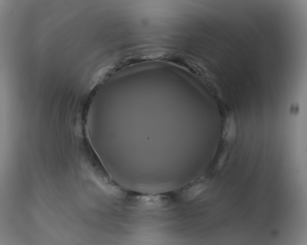 X0000111200524200907151417