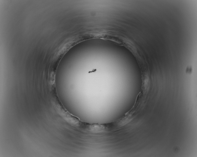 X0000111200525200907151417