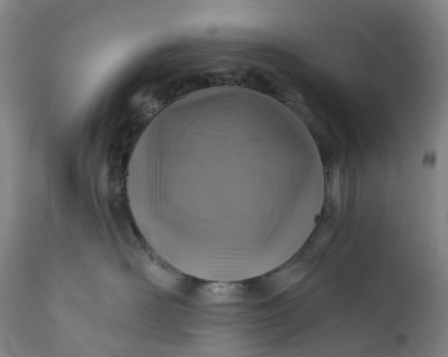 X0000111200526200907151417