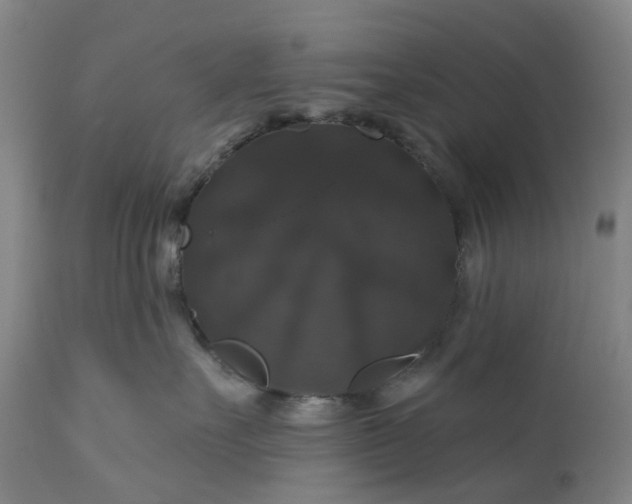 X0000111200527200907151416