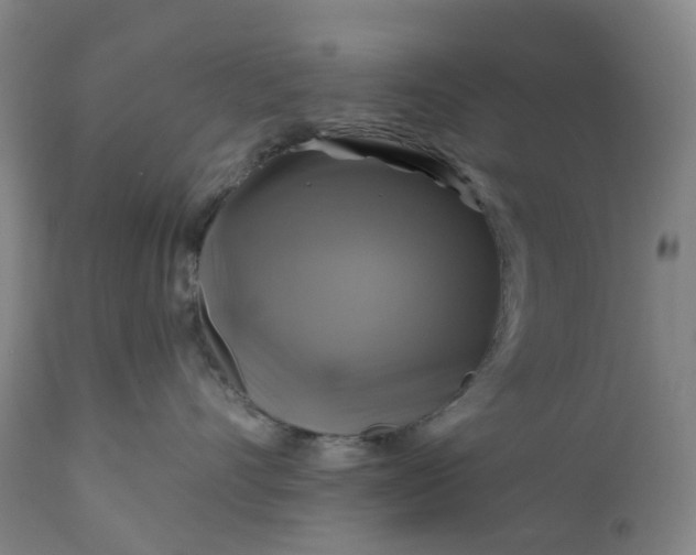 X0000111200528200907151416