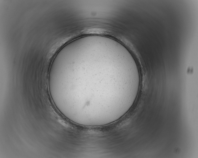 X0000111200529200907151415