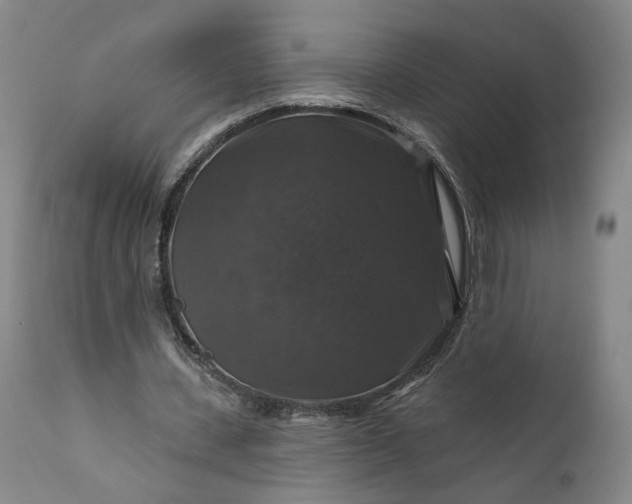 X0000111200531200907151416