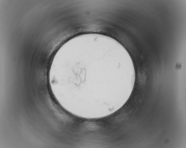 X0000111200534200907151416