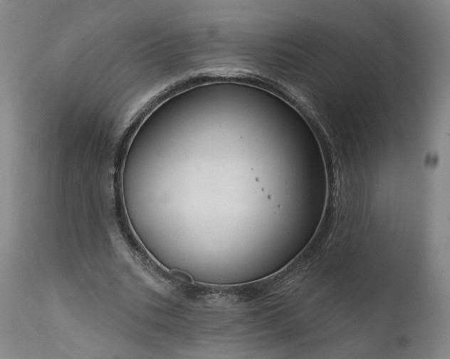 X0000111200535200907151416