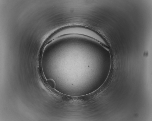 X0000111200536200907151416