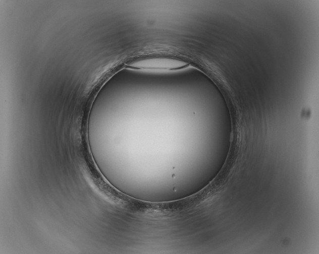 X0000111200538200907151416