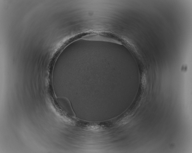 X0000111200540200907151416