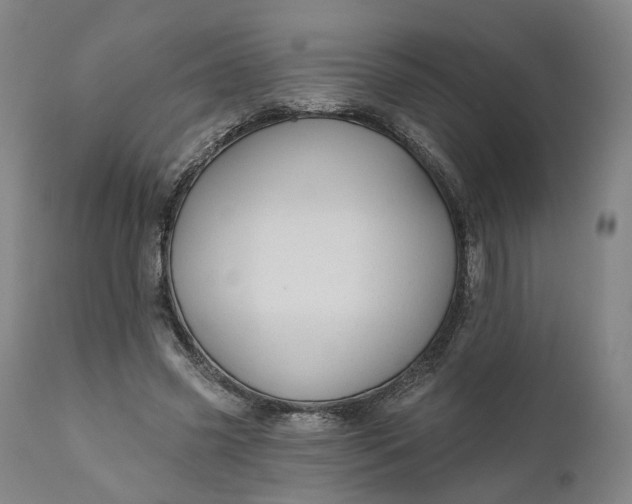 X0000111200541200907151416