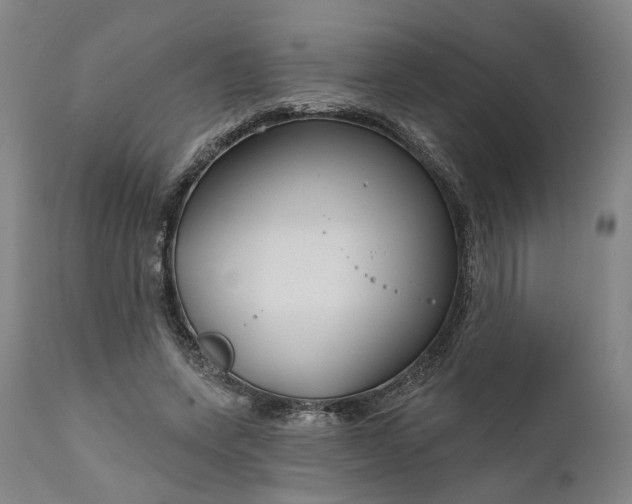 X0000111200543200907151416