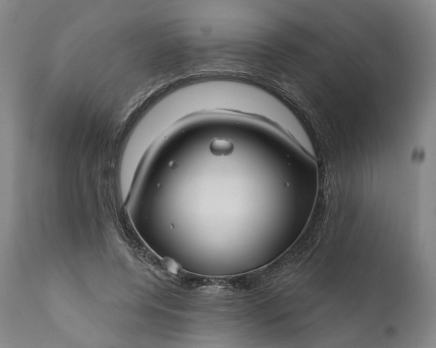 X0000111200544200907151416