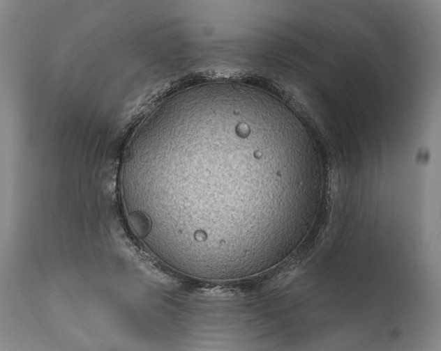 X0000111200545200907151416