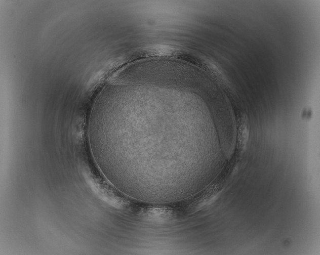 X0000111200546200907151416